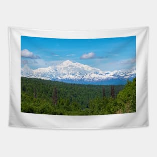 Clear Day Denali Tapestry