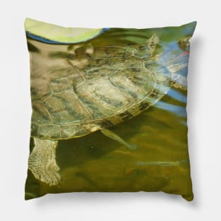 Looking for a cool spot Pillow