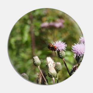 Bee On A Field Of Thistle Pin