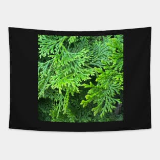 Forest Ever Green Tapestry