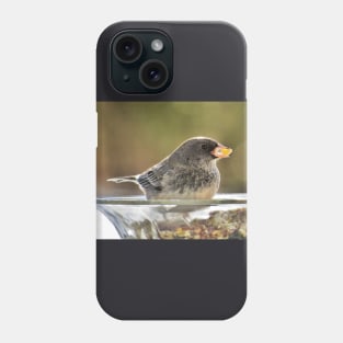 Seeds to Savour No.2 - Dark-Eyed Junco Phone Case