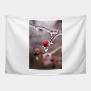 Frozen briar berries Tapestry