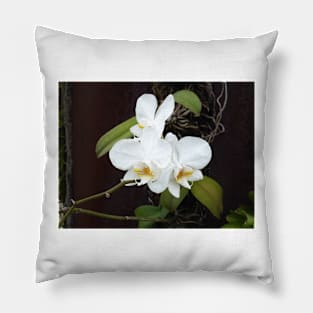 White Orchids Pillow