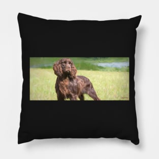 Boykin Painting Pillow