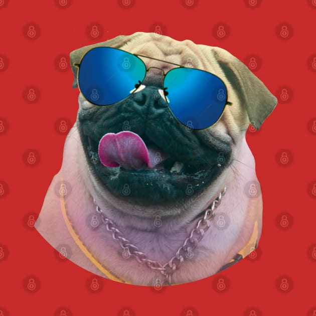 dog wearing sunglasses by NekroSketcher