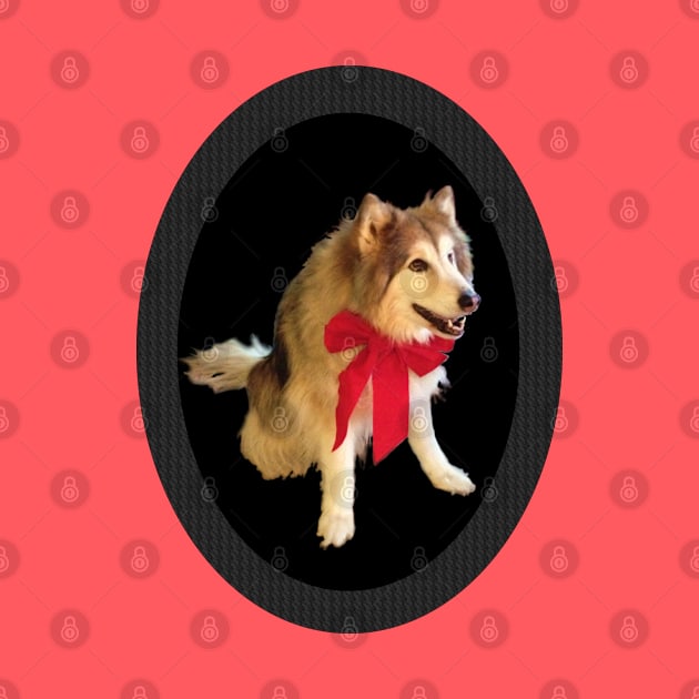 Cute Happy Wolf Dog With Red Bow Smiling - Carbon Fiber Frame by CDC Gold Designs