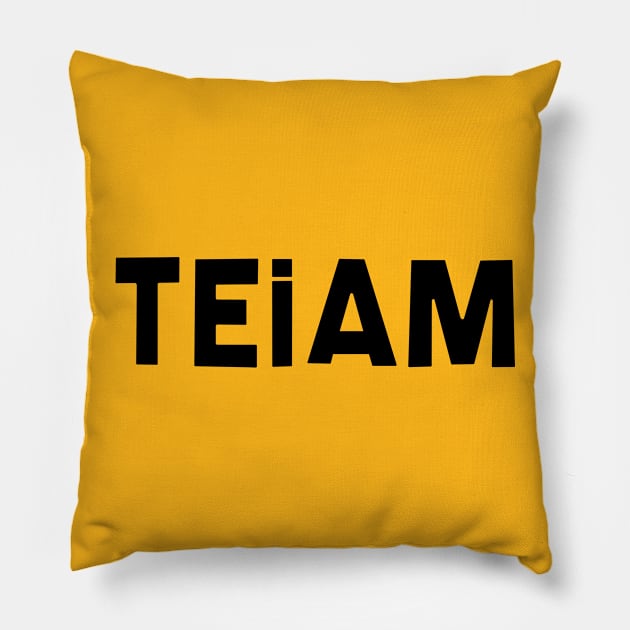 TEiAM Pillow by SillyShirts