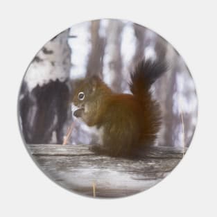 Squirrel on the fence illustration Pin