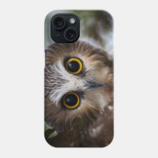 Northern Saw Whet Owl Portrait Phone Case