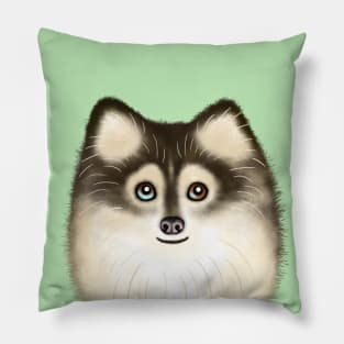 Sable Pomsky Pillow