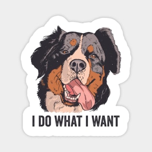 Funny Bernese Mountain Dog I Do What I Want Magnet