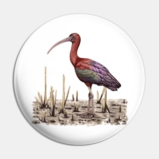 Glossy Ibis Pin