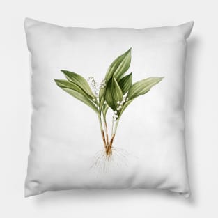 Vintage Lily of the Valley Botanical Illustration Pillow