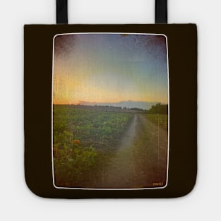 The Road to Autumn Tote