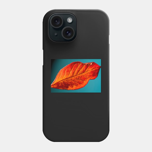 Rusty Leaf on Blue Phone Case by heidiannemorris