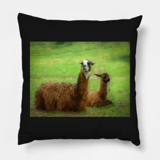 Llamas Pillow