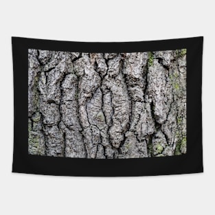 Tree bark texture, nature Tapestry