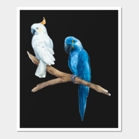 Parrots Posters And Art Prints Teepublic
