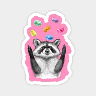 raccoon and macarons Magnet