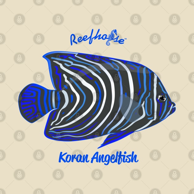 Koran Angelfish by Reefhorse