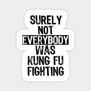 Surely Not Everybody Was Kung Fu Fighting Everyone Magnet