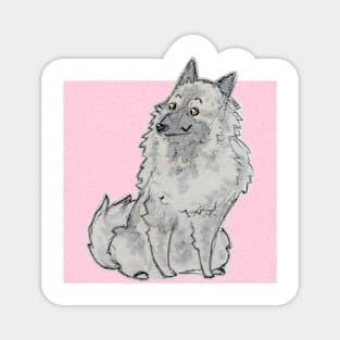 Keeshond Magnet