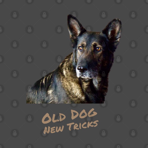 German Shepherd - Old Dog New Tricks by Print Magic Studios