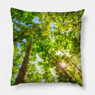 Sun Shining Through A Vibrant Leafy Forest Pillow