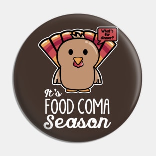 Thanksgiving Turkey It's Food Coma Season Pin