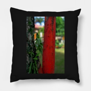 red ants Pillow