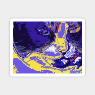 Cat in abstract colors Magnet
