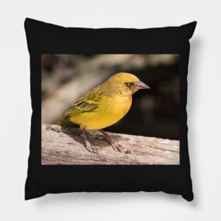 Vitelline Masked Weaver Pillow