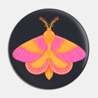 Cute Rosie Moth Painting Pin