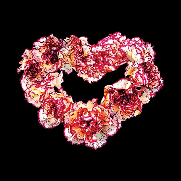 Carnations - Carnation Heart by SusanSavad