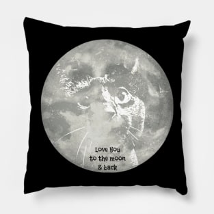 Love You To The Moon & Back...Cat Pillow