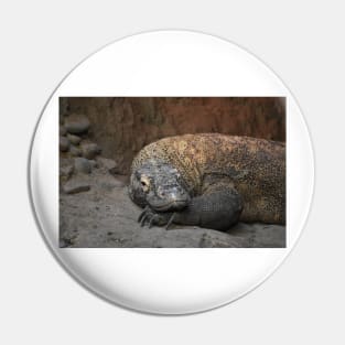 Komodo Dragon Pin