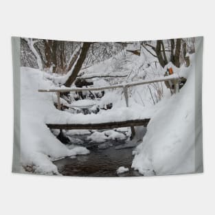 winter time Tapestry