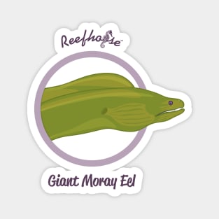 Giant Moray Eel Magnet