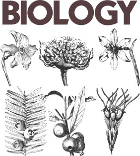 BIOLOGY Magnet