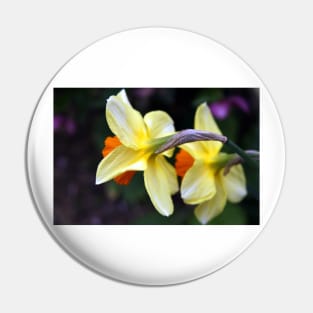 Daffodil Couple Pin