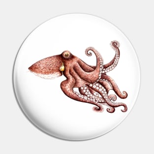 Octopus (Octopus vulgaris) Pin