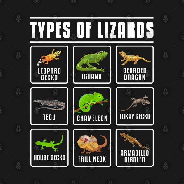Types of Lizards Lizard Reptiles by Caskara