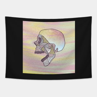 Pastel Textured Skull Tapestry