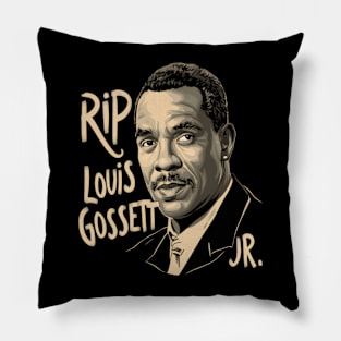 Rip Louis JR Distressed effect Pillow