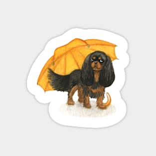 Cavalier King Charles Spaniel - Yellow Umbrella Black and Tan Magnet