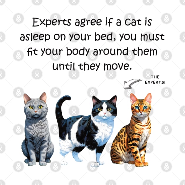 Experts agree if a cat is asleep on your bed, you must fit your body around them until they move - funny watercolour cat design by DawnDesignsWordArt