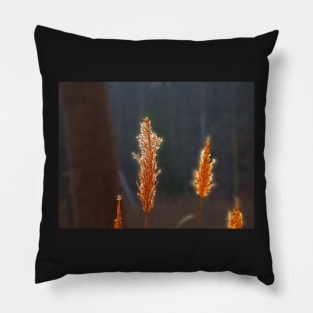 Grass Fire Pillow