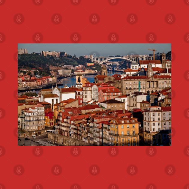 Portugal. Porto. Douro river. Waterfront. by vadim19