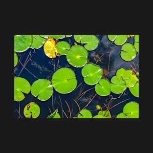 Land of the Lily Pads Photograph T-Shirt