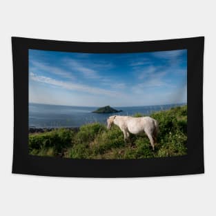 Mewstone Island and Dartmoor Pony Tapestry